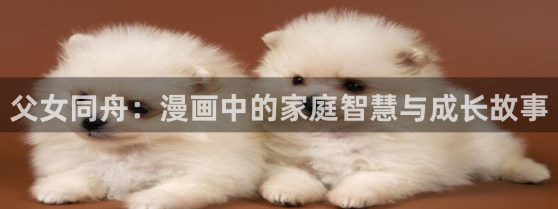 禁漫天堂是什么东西：父女同舟：漫画中的家庭智慧与成长故事