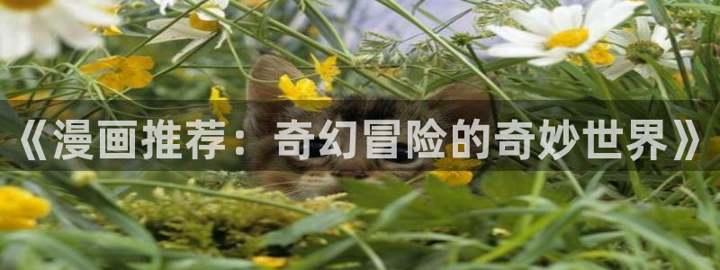 禁漫天堂www.：《漫画推荐：奇幻冒险的奇妙世界》